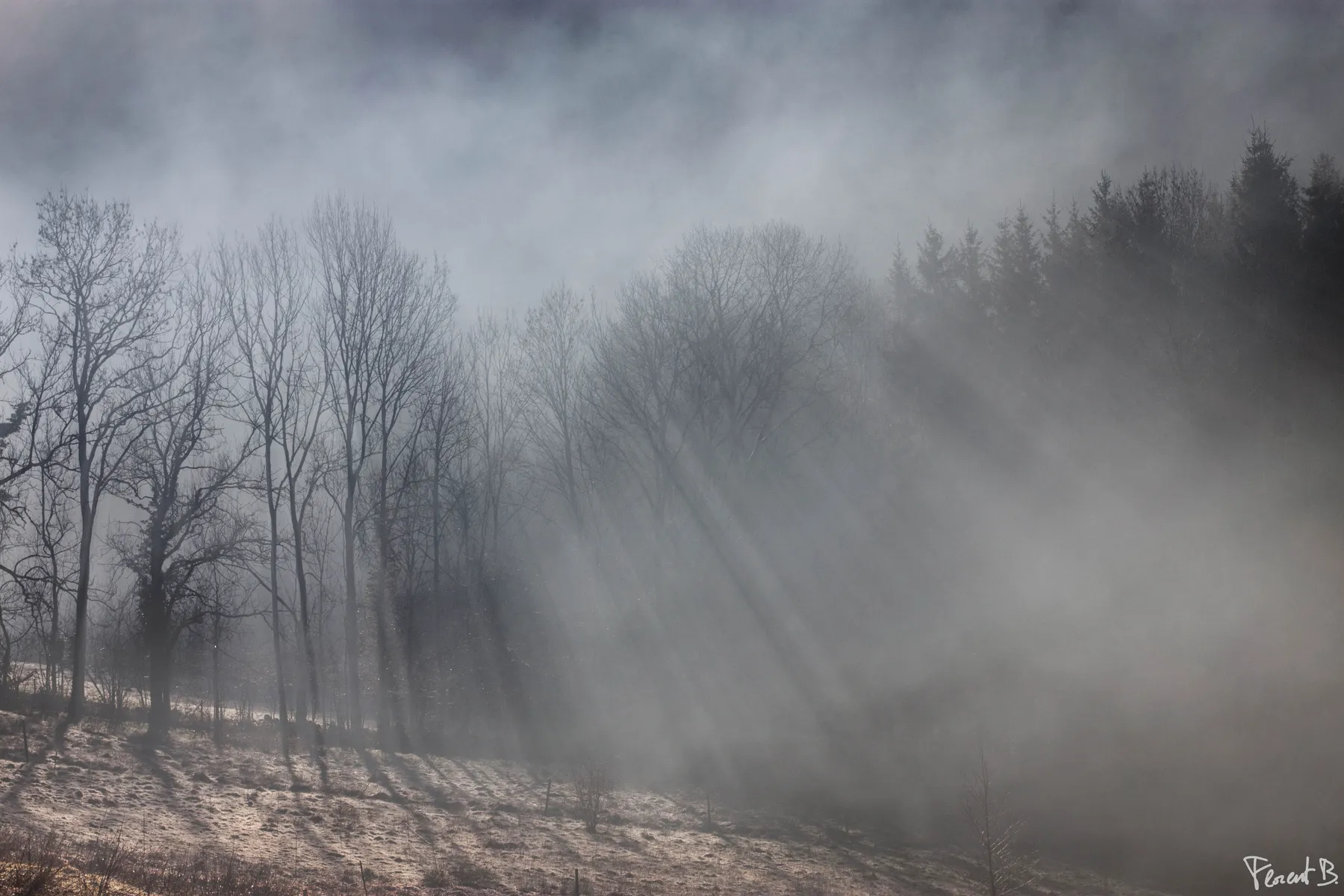 Vosges 2013